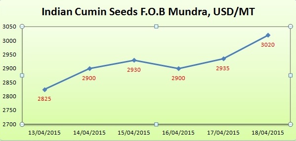Indian Cumin Seeds Market Report From 13-04-2015 to 18-04-2015